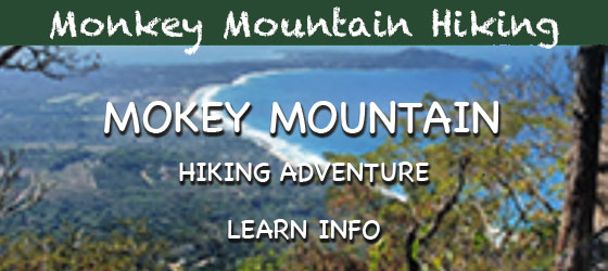 Monkey Mountain Hiking Adventure