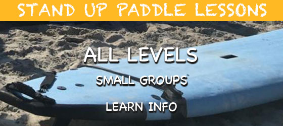 Stand up Paddle Board Lessons