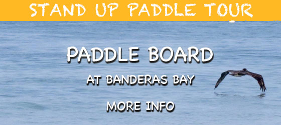 Vallarta Stand Up Paddle Tour (SUP)